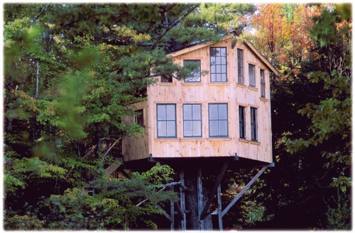 Attached picture bigger treehouse.jpg